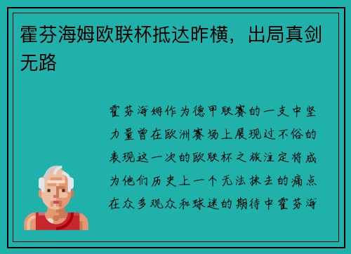 霍芬海姆欧联杯抵达昨横，出局真剑无路