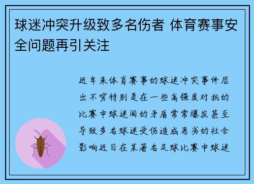 球迷冲突升级致多名伤者 体育赛事安全问题再引关注