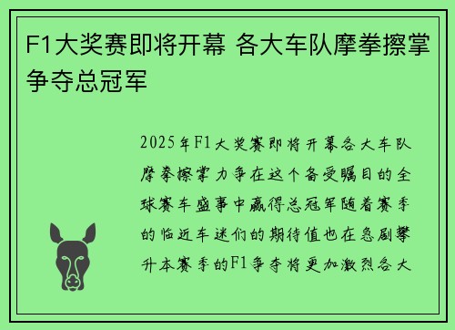 F1大奖赛即将开幕 各大车队摩拳擦掌争夺总冠军