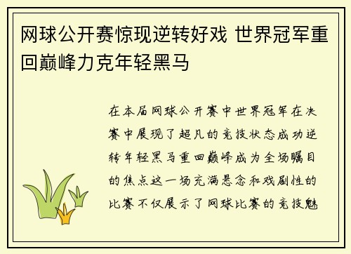网球公开赛惊现逆转好戏 世界冠军重回巅峰力克年轻黑马